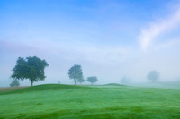 TheBull_sunrise-19384