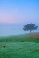 TheBull_sunrise-19371