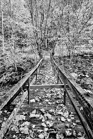 Fall_E_KY-2922_Radiant
