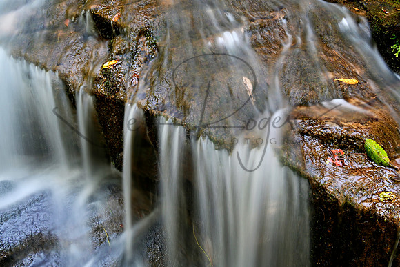 _JRP0287_Radiant