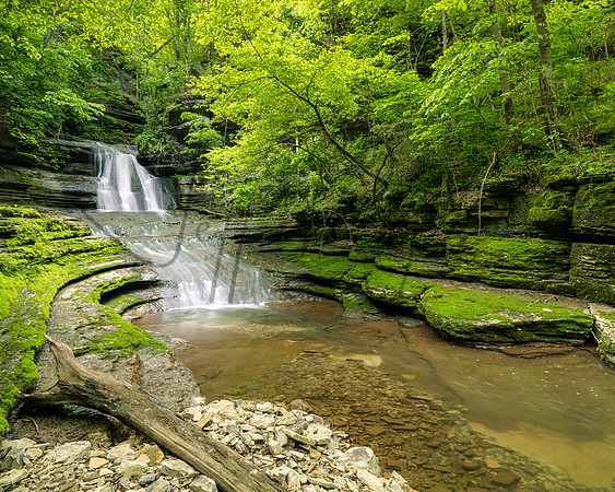 BurgessFalls1218819_8x10