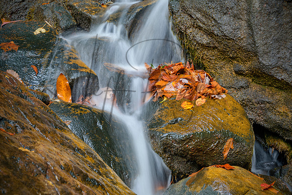 Waterfall_EKY4138_24x36
