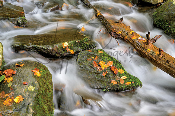 06_Peace-8616c