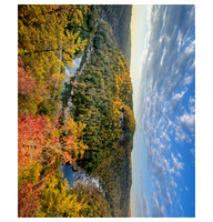Bee_Rock8187_20x24