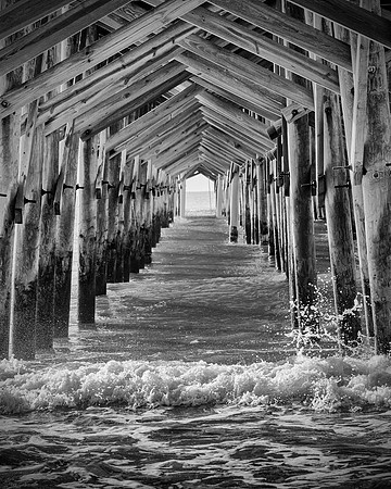 PawleysIsland-2655_8x10