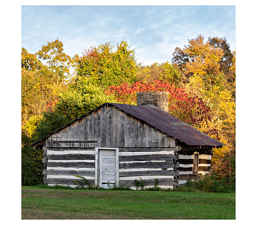 Cabin_7406-20x20