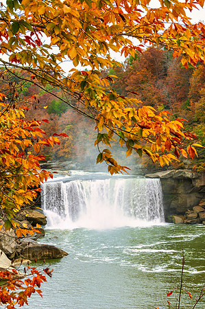 CumberlandFalls_8128