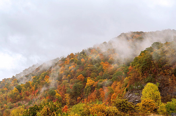E_KY_Fall_9560_22.5x34USMwarm2
