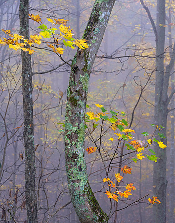 E_KY_2511_22x28