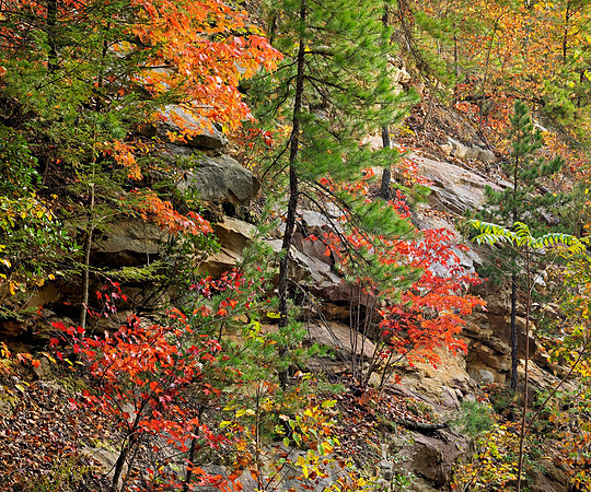 Fall_Cumberland_Falls_0309_20x24