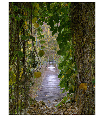 Fall_E_KY-2421_20x26