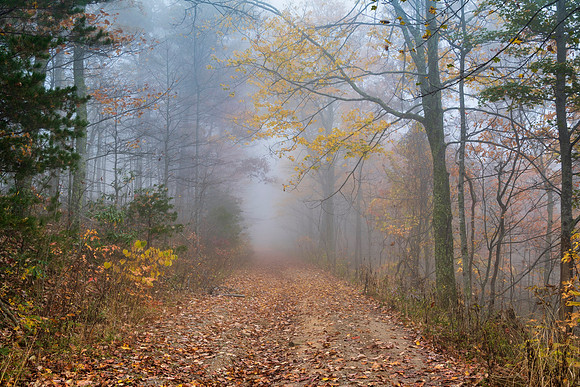 Fall_E_KY-2505