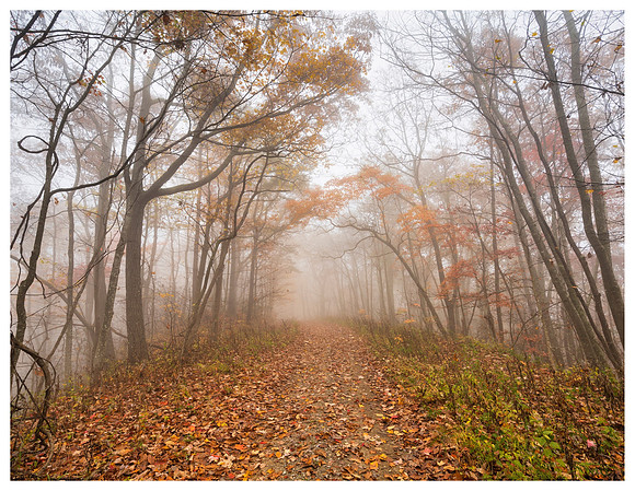 Fall_E_KY-2554_24x30