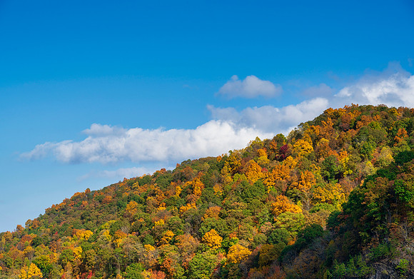 Fall_E_KY-2871