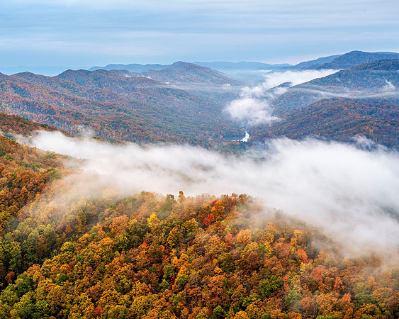 Fall_Hills_Fog7969_24x30