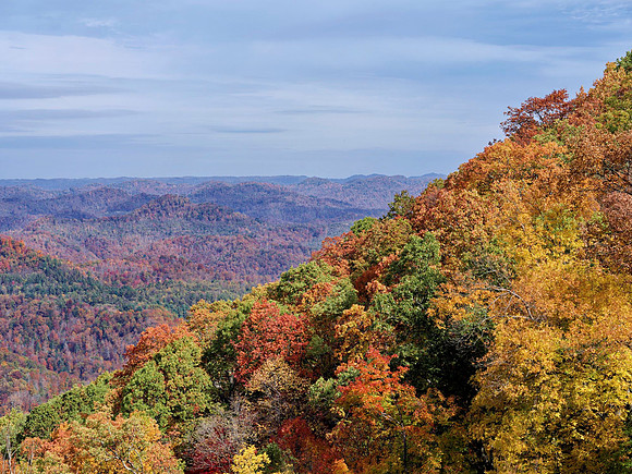 Fall_Kingdom_Come3879_36x48