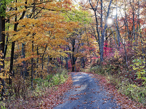 Fall_Kingdom_Come3698