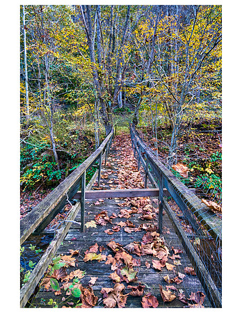 Fall_E_KY-2922_20x30