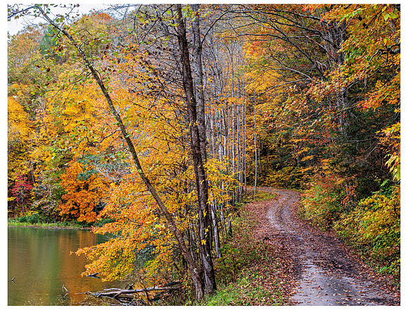 Fall_Path_Pond7799_20x28