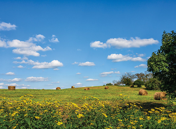 Hay-Susans_0270_22x30