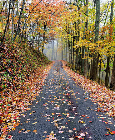 Kingdom_Come_Fall_Road3618_18x22