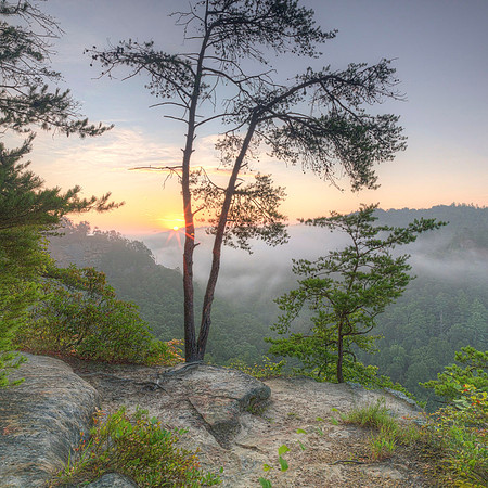 KY_sunrise_RRGorge9802_24x24