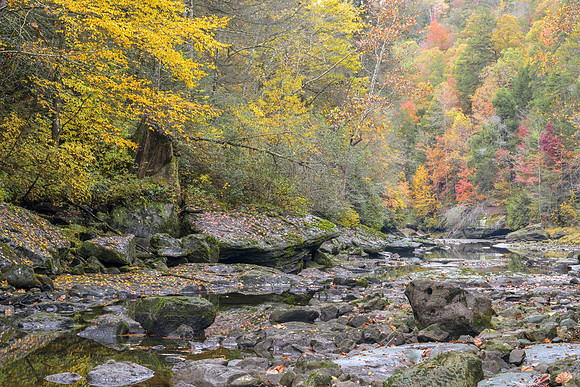KY-Fall_Stream6955