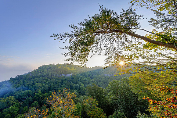 KY-sunrise6903_20x30