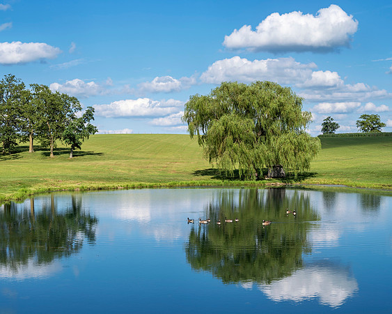 Pond_6034_24x30