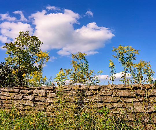 Rock_wall-0305_20x24