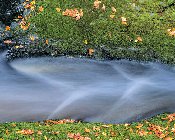 Stream_pg_24x30