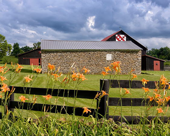 Stone_Barn_Lillies_6866_24x30