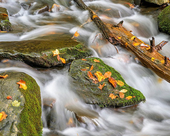 Stream-8616_24x30