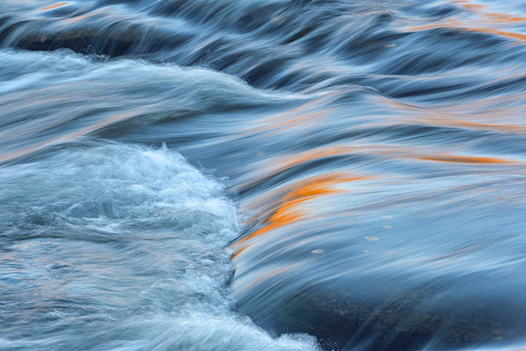 Water_Gold-9292_24x36