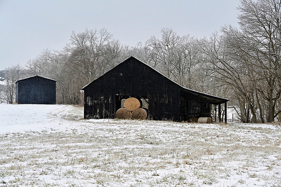 Winter_Barn_Snow5913_16x24