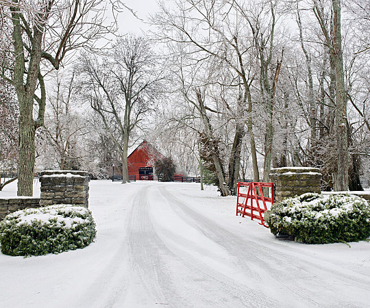 Winter_Red Barn 8498_20c24