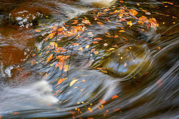 Peace-8574_Radiant