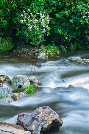 TN_Waterfalls_5180USM
