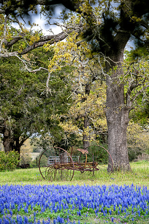 Texas-4753