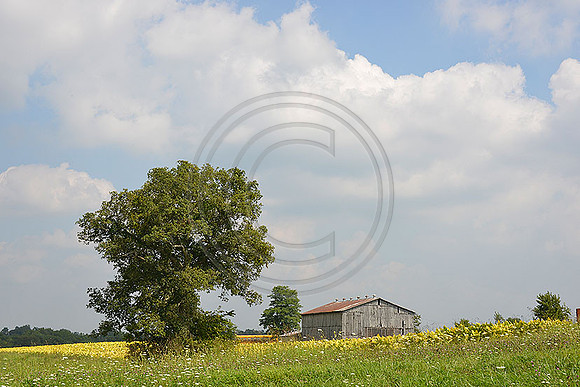 _JRP3354