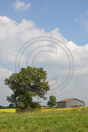 _JRP3358