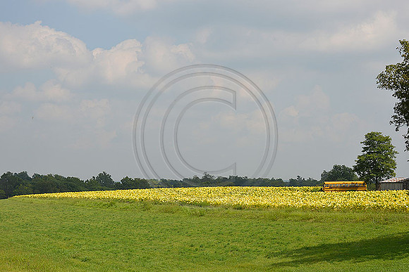 _JRP3361