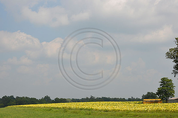 _JRP3364