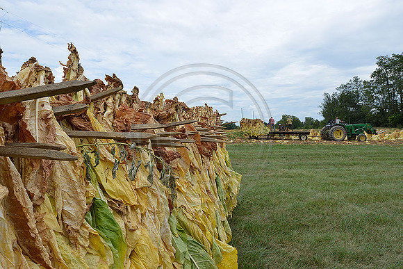 _JRP1879