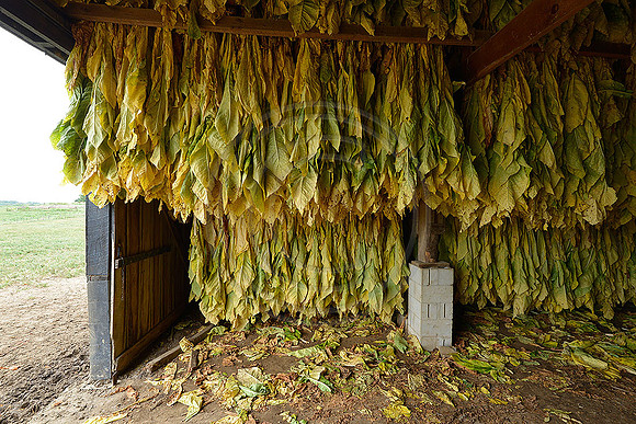 _JRP1907