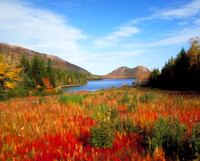 JordanPond_p16x20