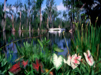 White_Bridge