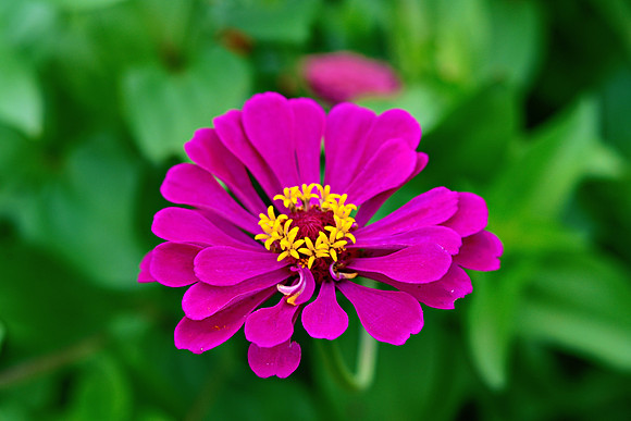 _JRP2799_Radiant