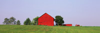 redbarn-grass
