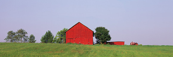 redbarn-grass